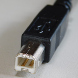 USB Type-Bの端子画像